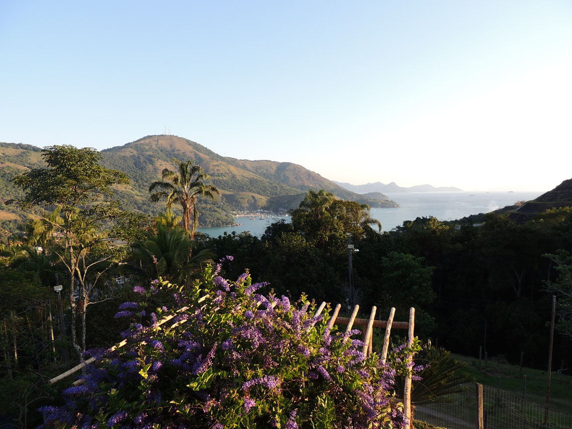 DSCN8437.jpg