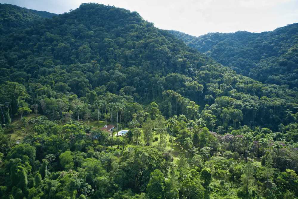 fazenda-ressaca-e1691444158602.webp