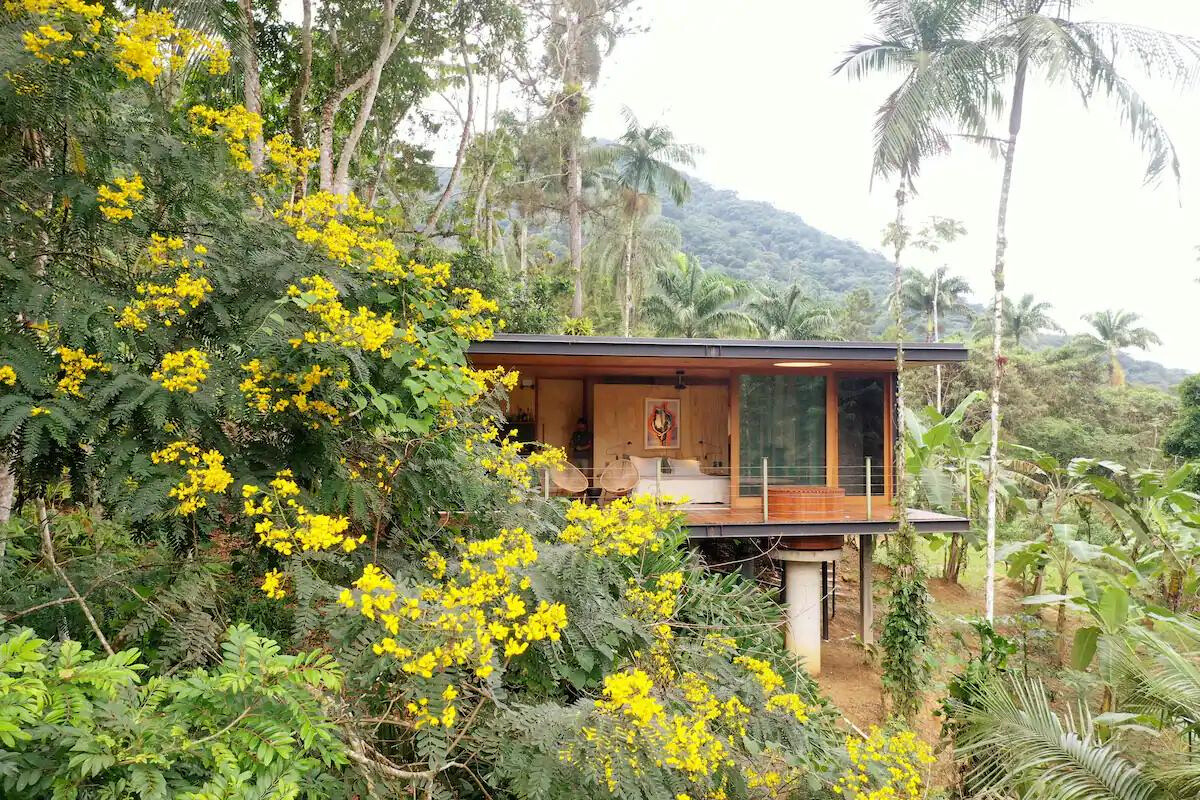 jaguatirica-jungle-cabana-em-ubatuba.jpg