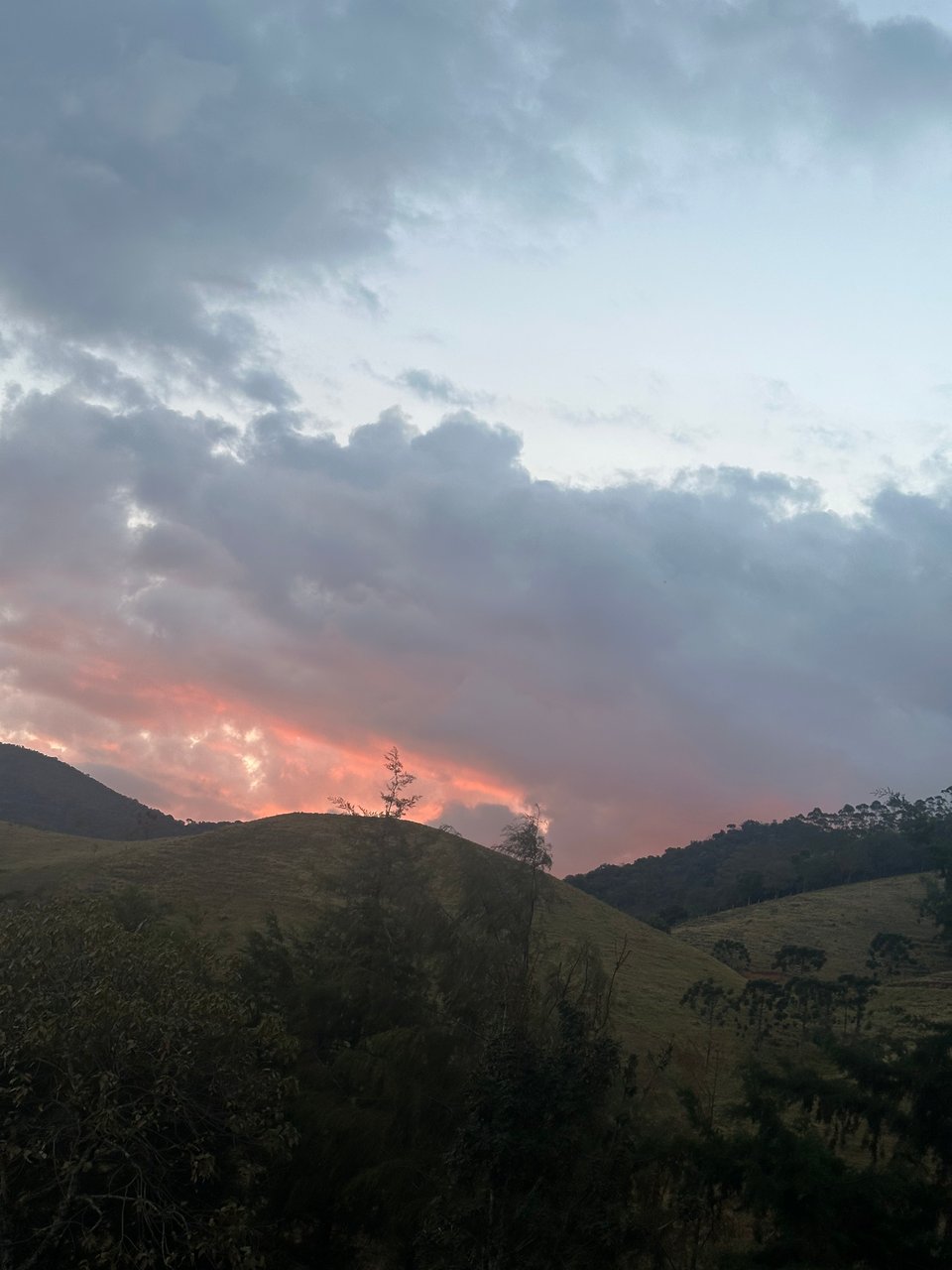 IMG_0344.jpeg