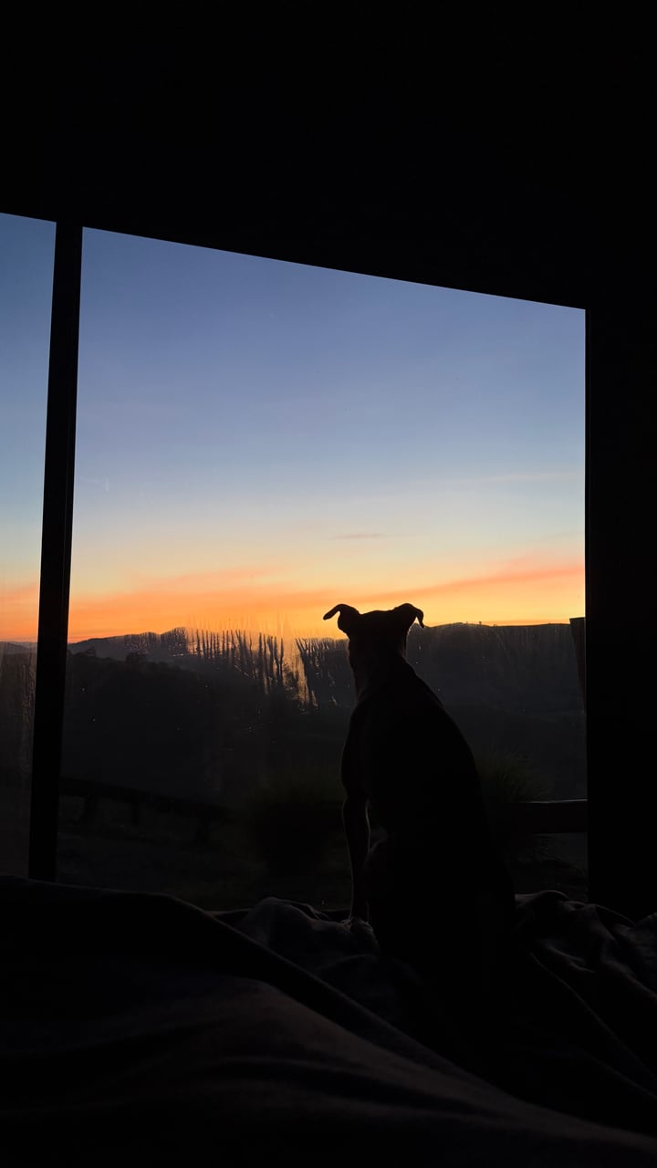IMG_3415.jpeg