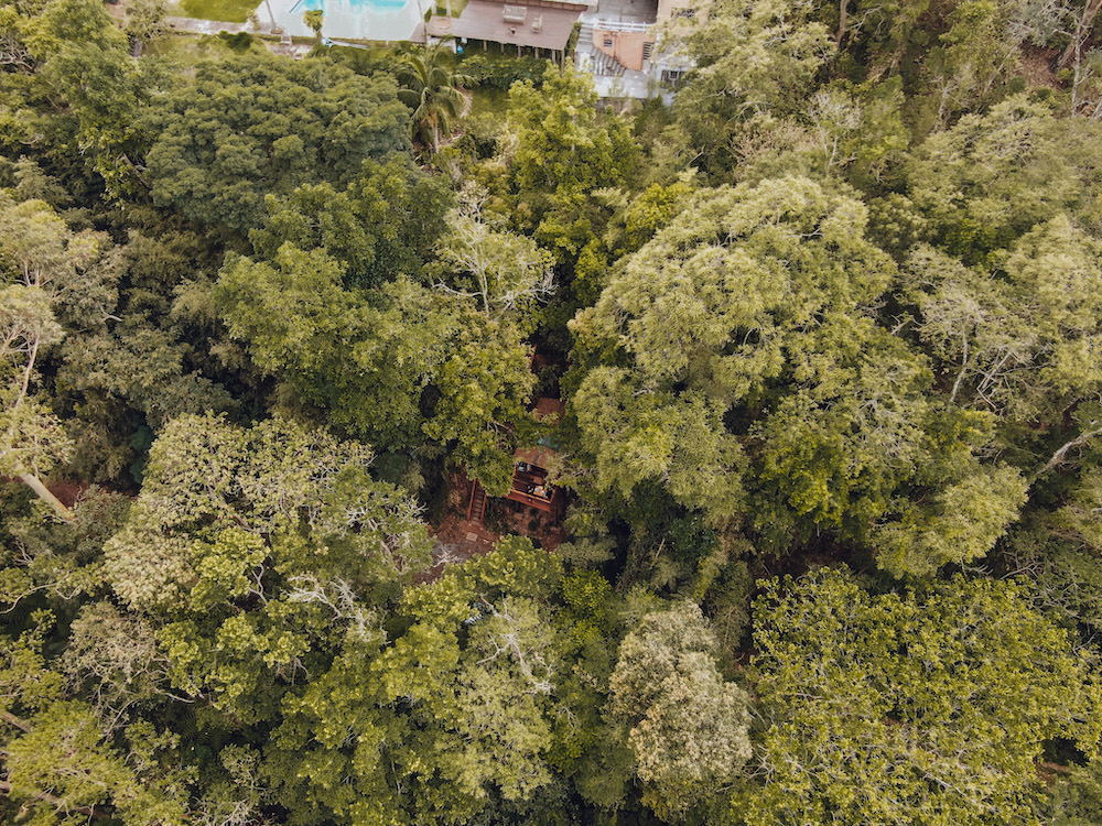 Casa-na-Arvore-do-Refugio-1.jpg