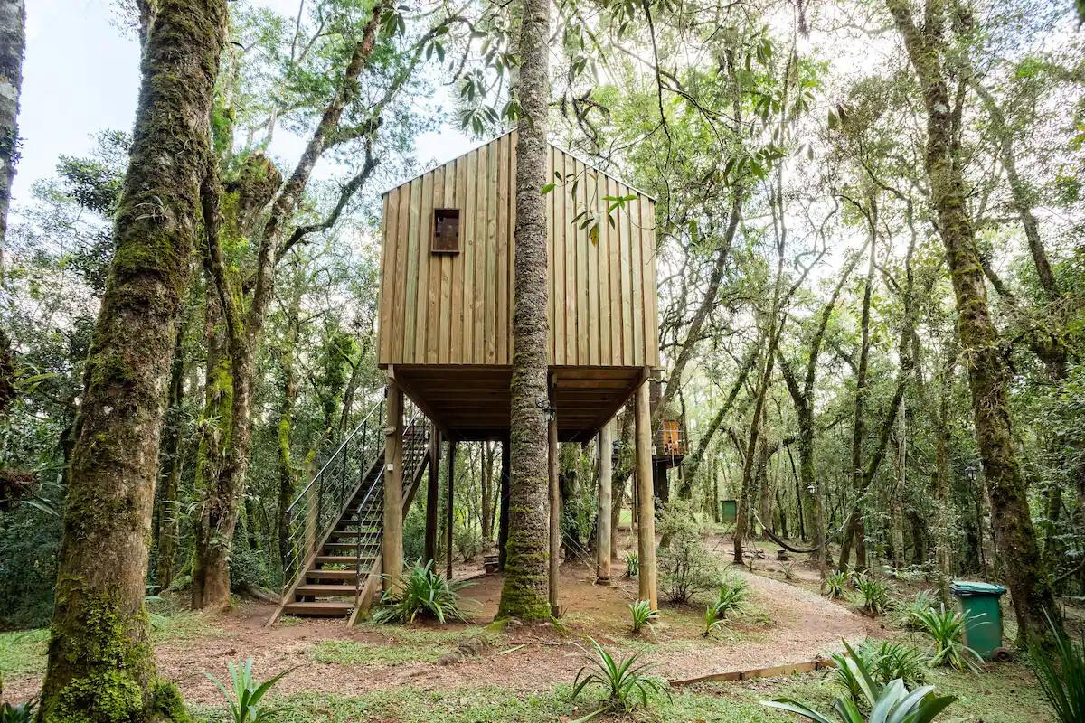 cabana-na-arvore-em-campos-do-jordao.jpg
