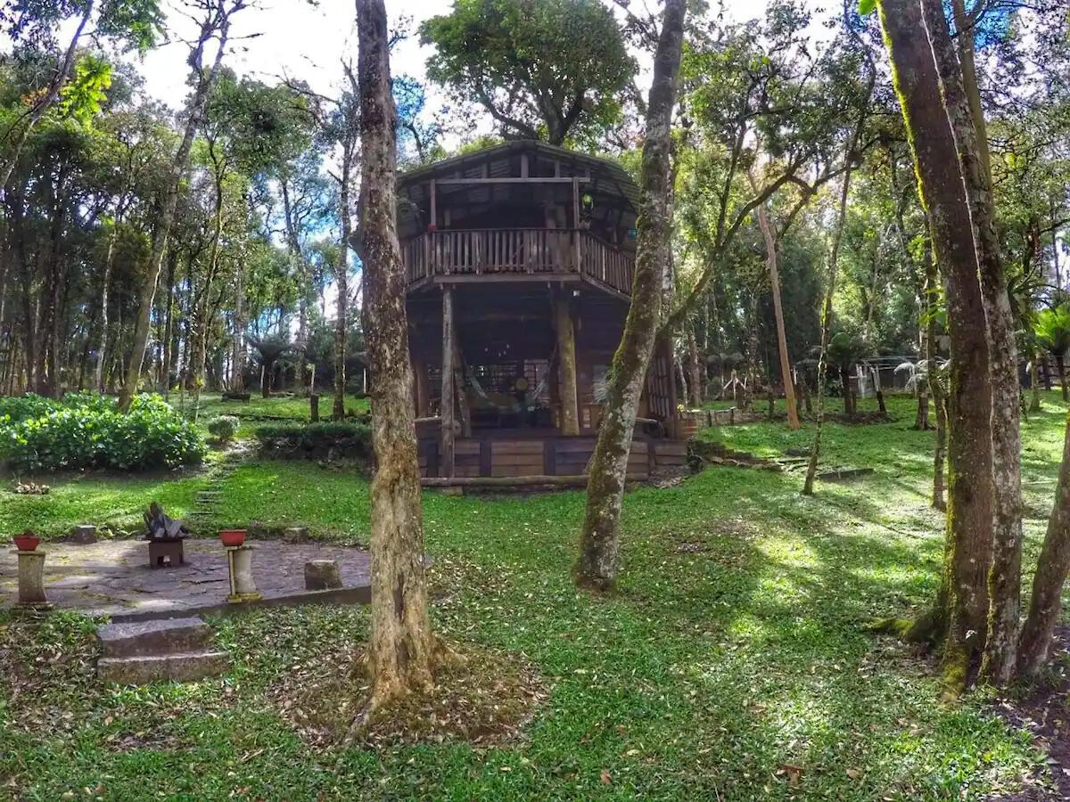 casa-da-arvore-um-dia-de-sonho.jpg