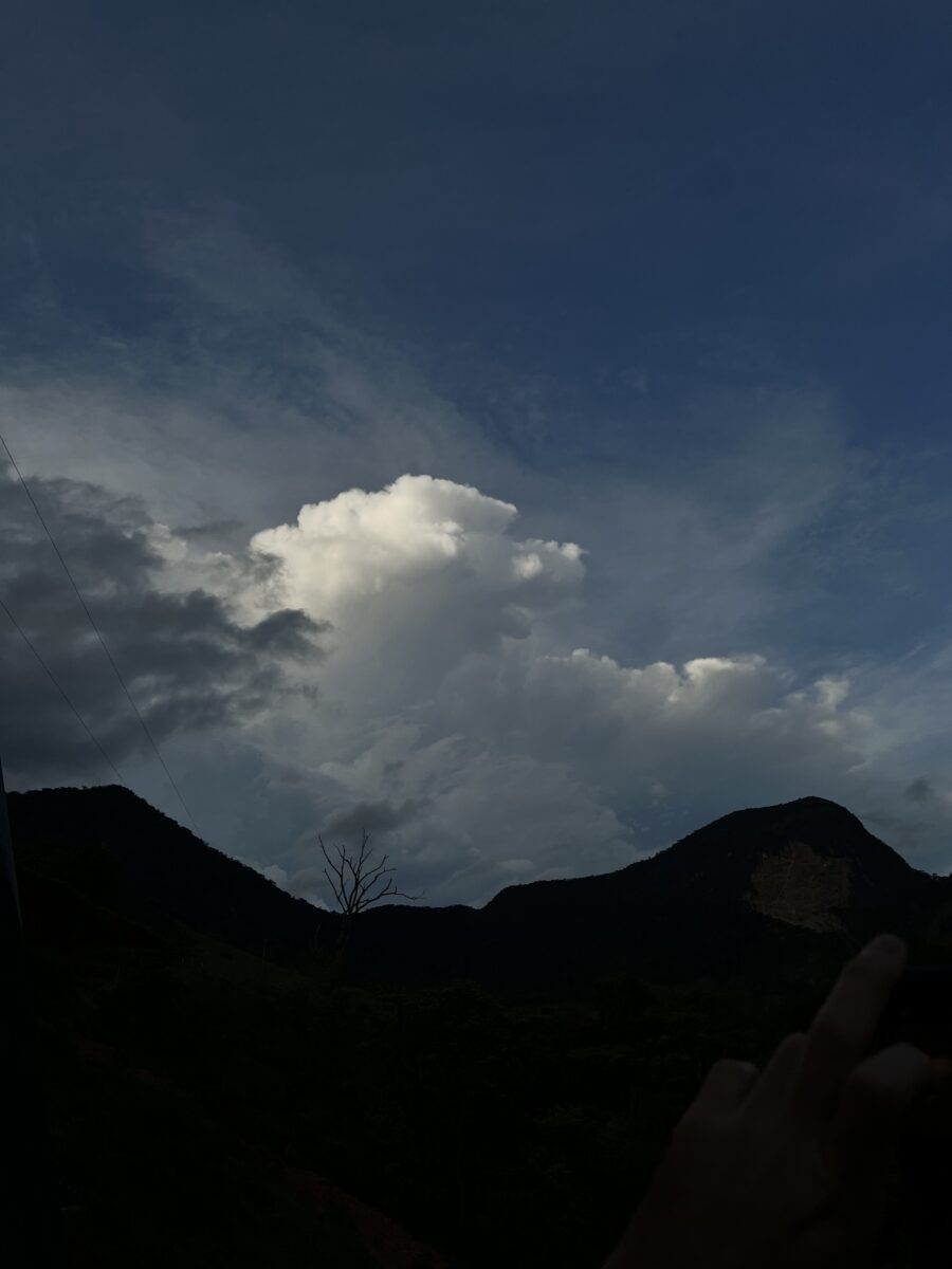 17702F25-C034-43EC-A24B-90030802818D.jpeg