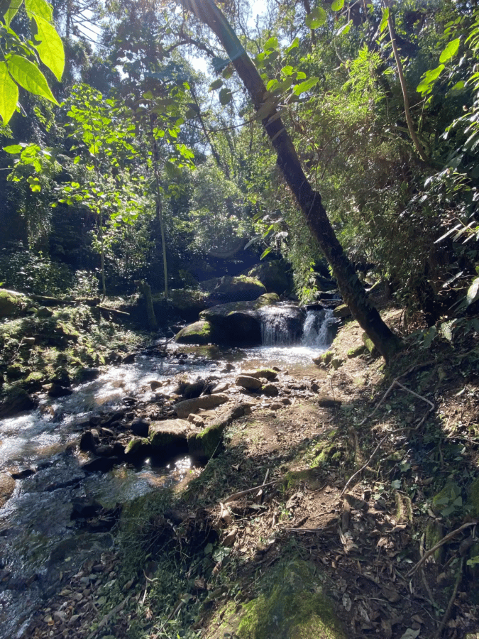 chale-na-serra-da-mantiqueira-e1709666512395.webp