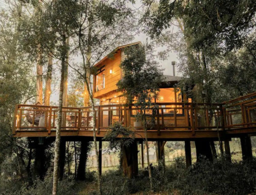 Casa na Árvore Morada dos Vagalumes | Reserve com a Holmy