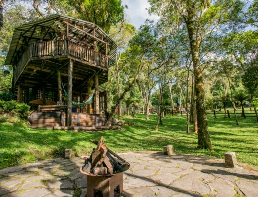 Casa Na Árvore | Um Dia de Sonho | Reserve com a Holmy
