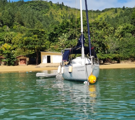 Barco em Ubatuba | Holmy