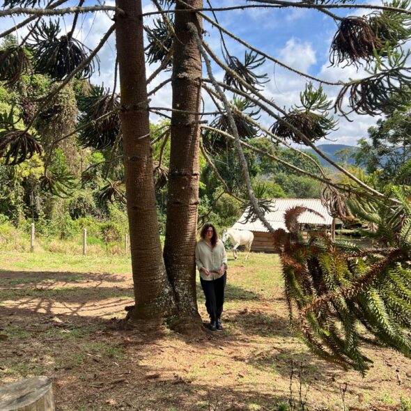 Montanha Home